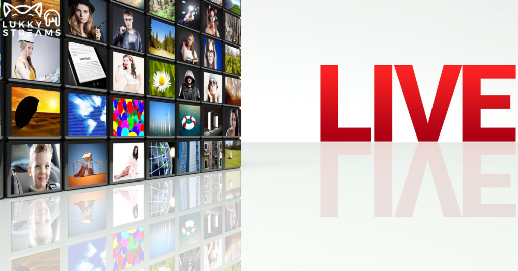 iptv reseller program
